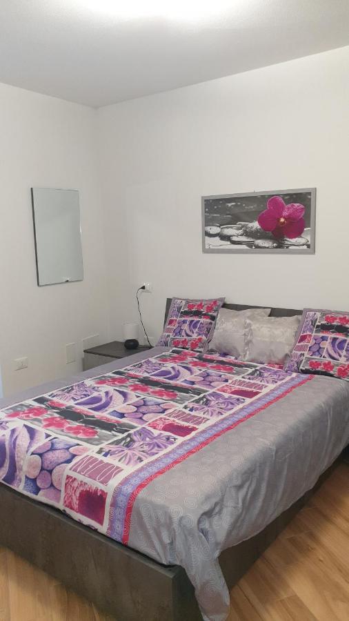 Casa Ramus Valle Camonica A 30 Km Dal Passo Tonale 에돌로 외부 사진