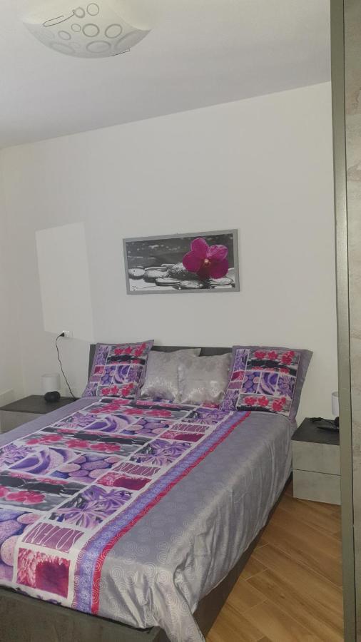 Casa Ramus Valle Camonica A 30 Km Dal Passo Tonale 에돌로 외부 사진