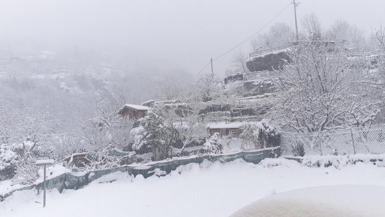 Casa Ramus Valle Camonica A 30 Km Dal Passo Tonale 에돌로 외부 사진